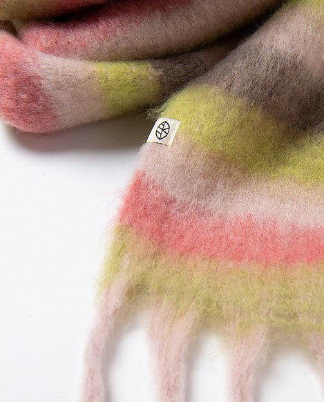 Écharpe Multicolore Hiver