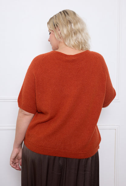 Pull Alpaga Manches Courtes - TU du 44 au 50