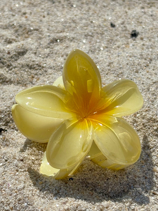 Pinces à Cheveux Fleur de Tiaré